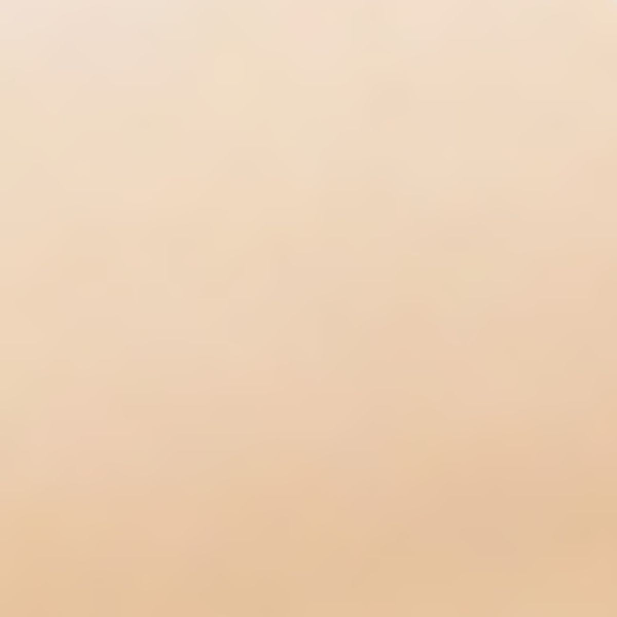 Make up Concealer Mineral Texture Light